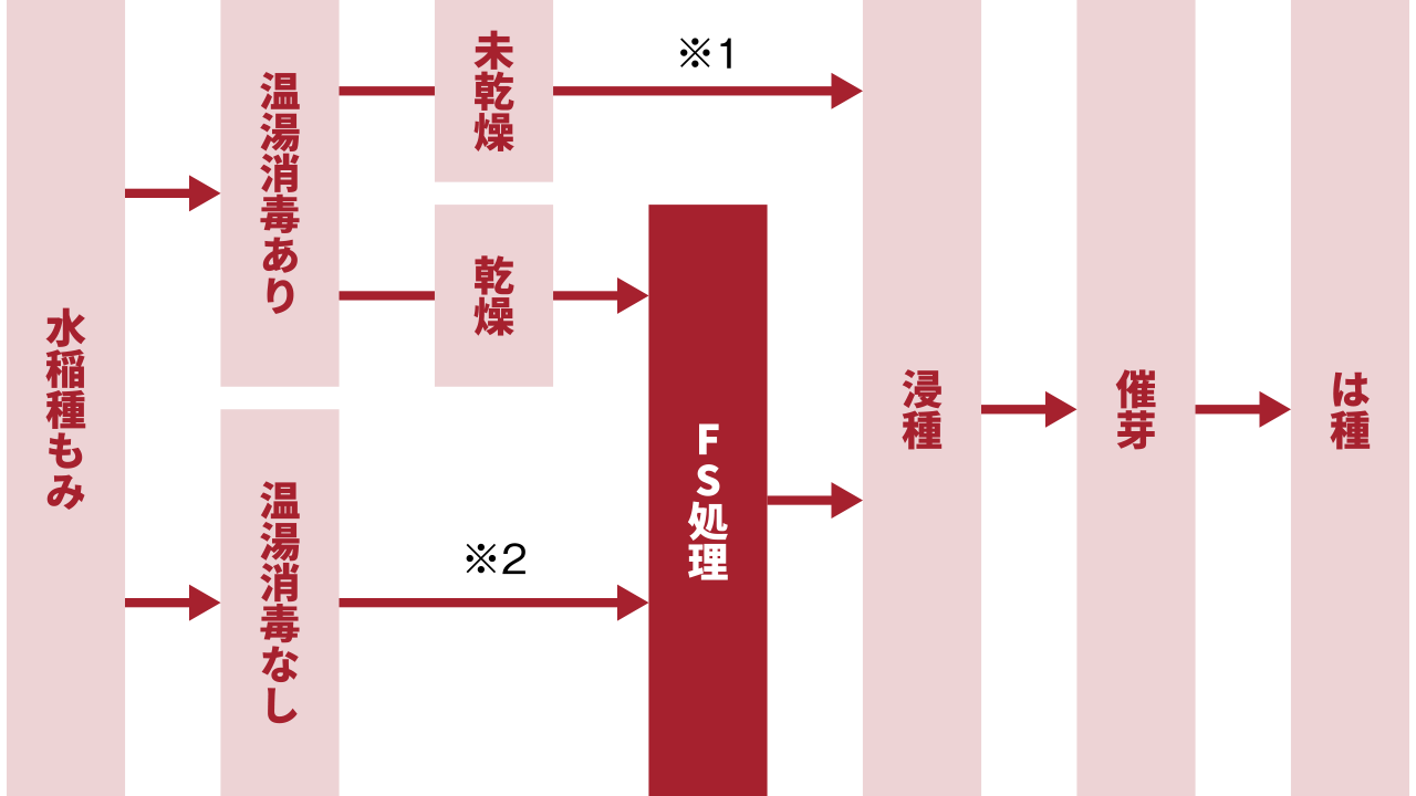 水稲種子処理の工程