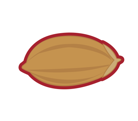 種もみをコーティング